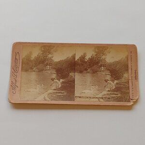 ANTIQUE STEREOGRAPH CARD Feeding The Swans Cairo Egypt